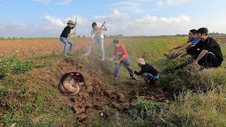 5 brave young men discovered a giant snake nest