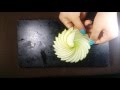 Art In Apple Carving Flower - Making A Rosette With Apple