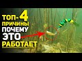 ТОП 4 Причины почему это работает. Мандула + Джиг Риг. Блесна грушка, пуля