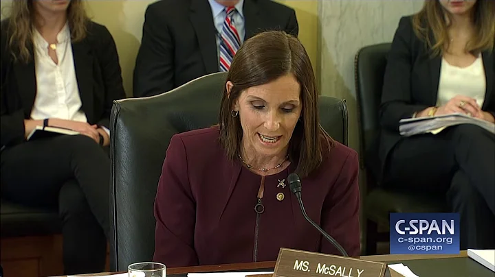 Word for Word: Sen. McSally (R-AZ) says she was Ra...