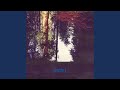 Miniature de la vidéo de la chanson Bright Night