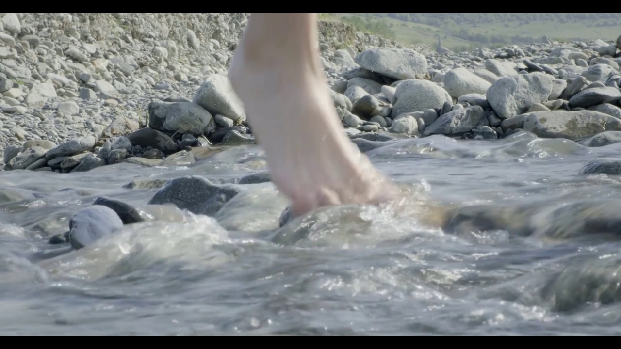 bodytox detox your world