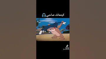 توم و جيري بالجزائرية 