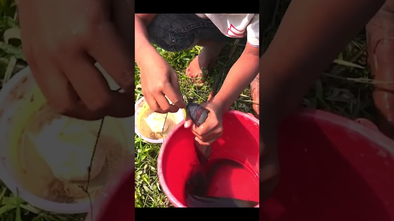 Awesome Small Kid catching Fishing many fish oh yeah 