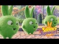 Videos For Kids | TRIPLE TROUBLE - SUNNY BUNNIES | Cute Cartoons | Funny Videos For Kids