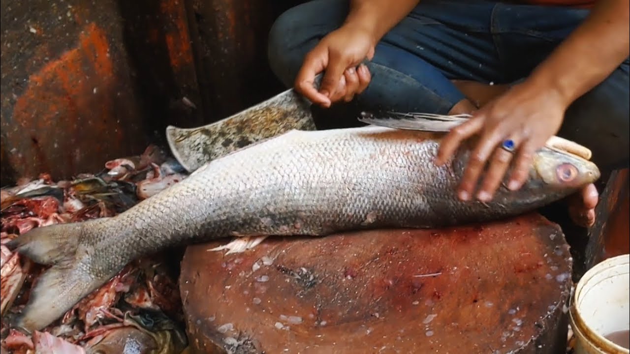 big rawas fish cutting skills (salmon) best fishing cutting