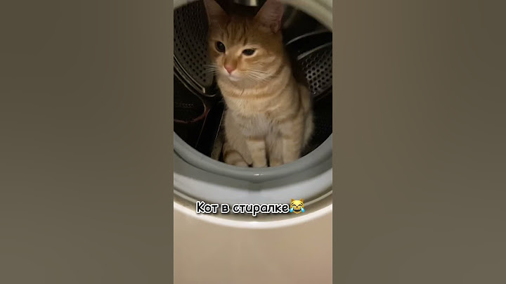 😹😹😹 #кот #коты #котыприколы #кошка #котенок #тикток #тренды #котики #шортс #ютуб #shorts