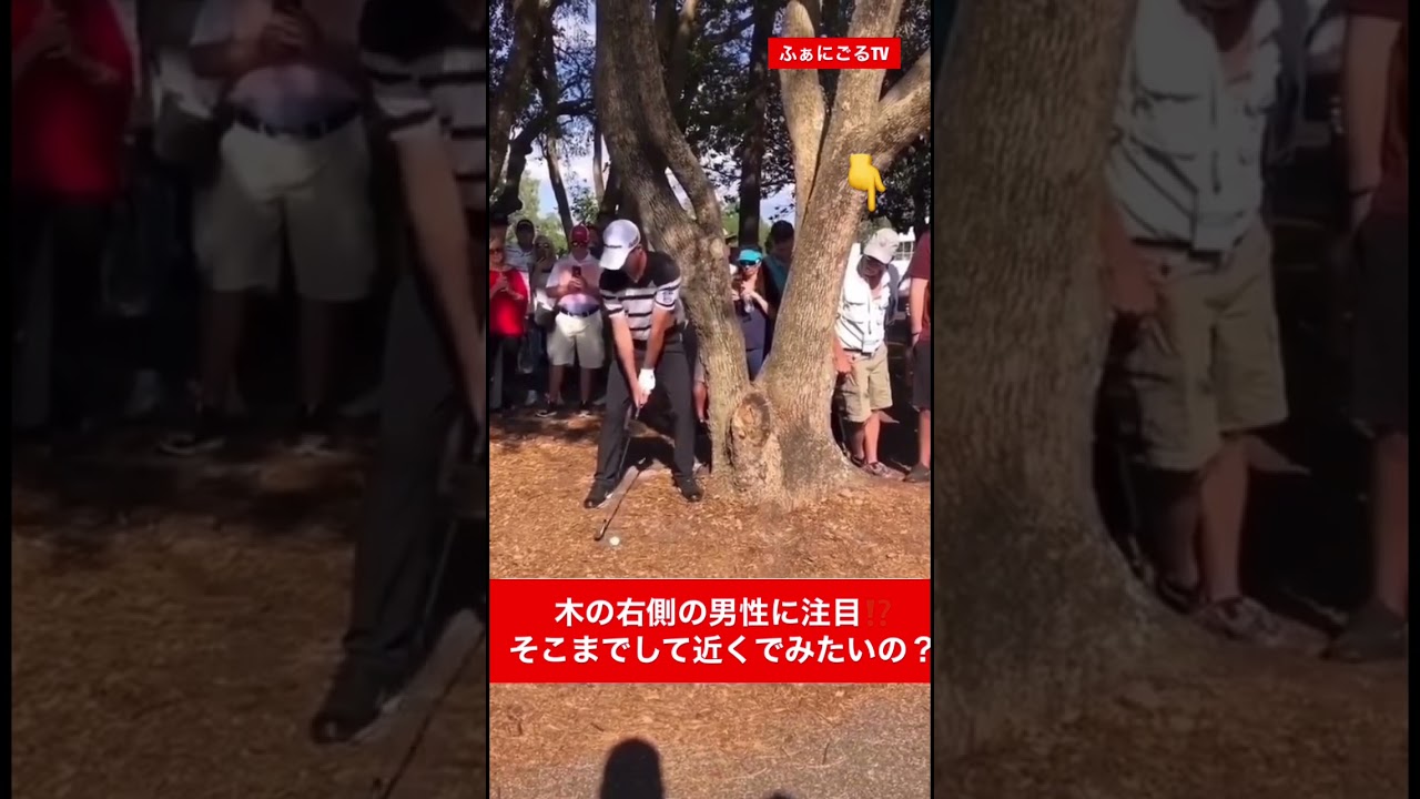 あわや大惨事⚠️ギャラリーに〇〇が・・・ #ゴルフスイング #海外ゴルフ #危険