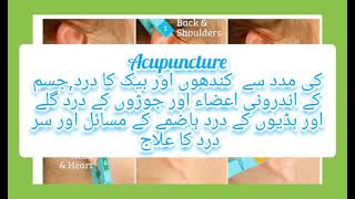 easy acupuncture treatment for shoulder and back pain, organs and sinuses, joint pain and throat