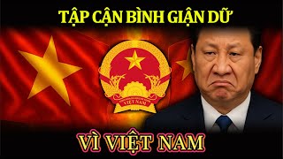 Xi Jinping Is Angry, For Vietnam! screenshot 5