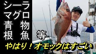 オモック大活躍！！魚種限定解除！釣れない魚はなんなのだろう・・・