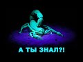 Террариум для скорпиона СКОРПИОН СВЕТИТСЯ В ТЕМНОТЕ Играем со скорпионом берем на ручки 