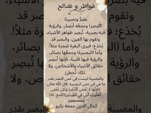 بصر و بصيرة