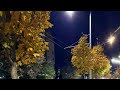 Прогулянка містом