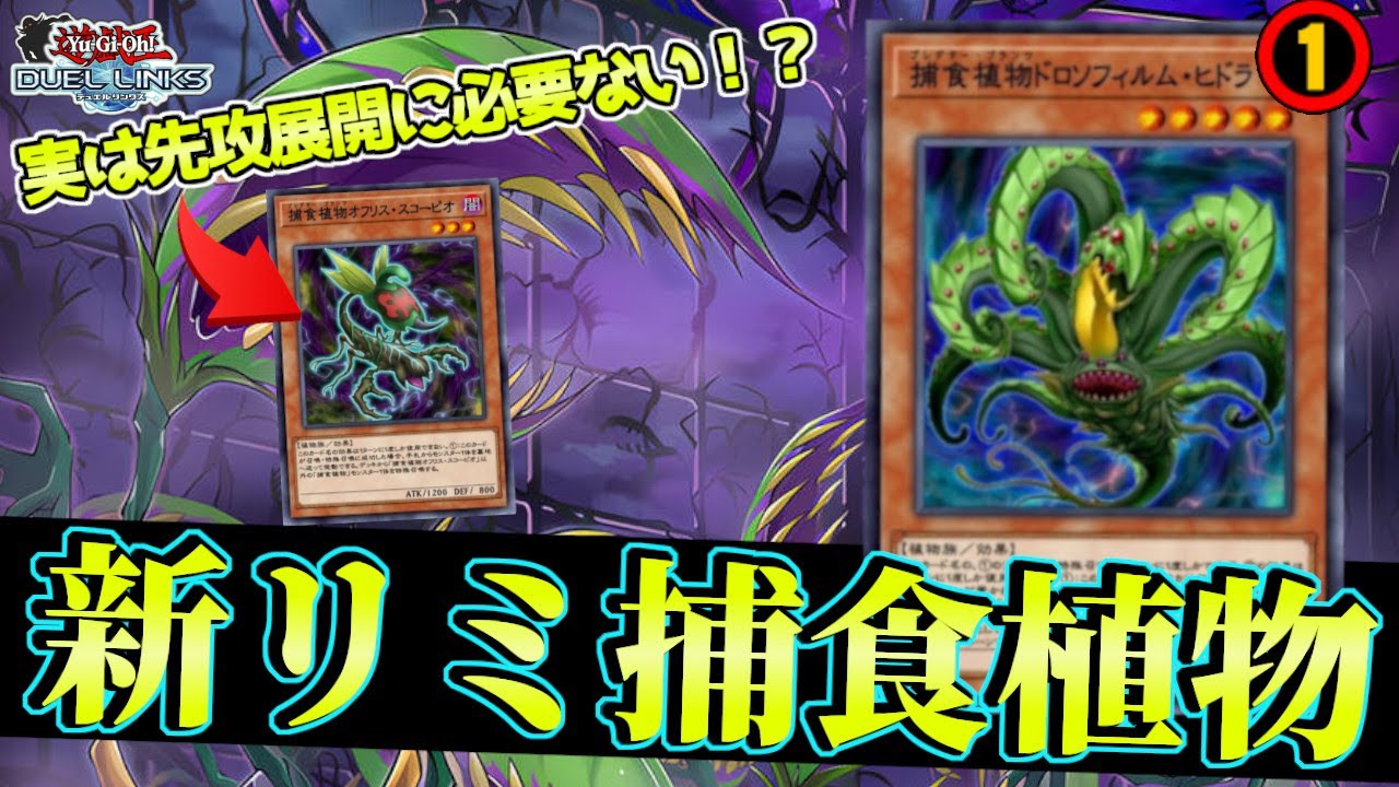 補食植物堕天使デッキ 高レアリティ 2023/10)土の熾天使召喚：ラムディフィールド【R】{BS65-086}《黄》