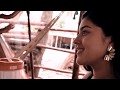 Mi Reinita Encantadora - El Arrendajito Araucano
