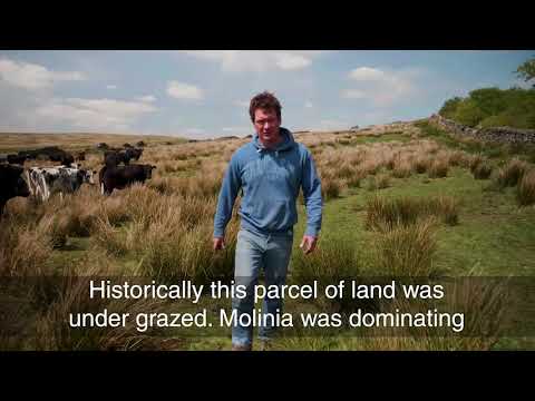 Guto Davies - Promoting sustainable farming - video from NFU