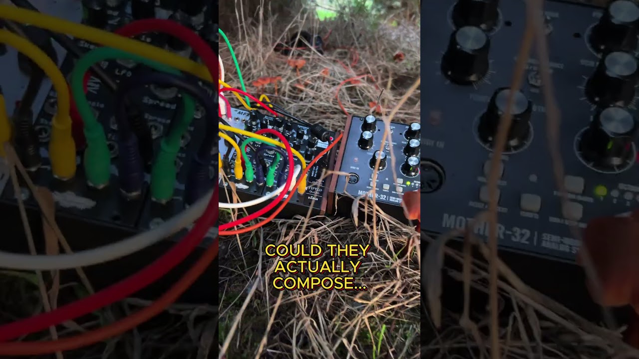 Mushrooms Talking to Each Other 🍄 Could They Compose Music? 