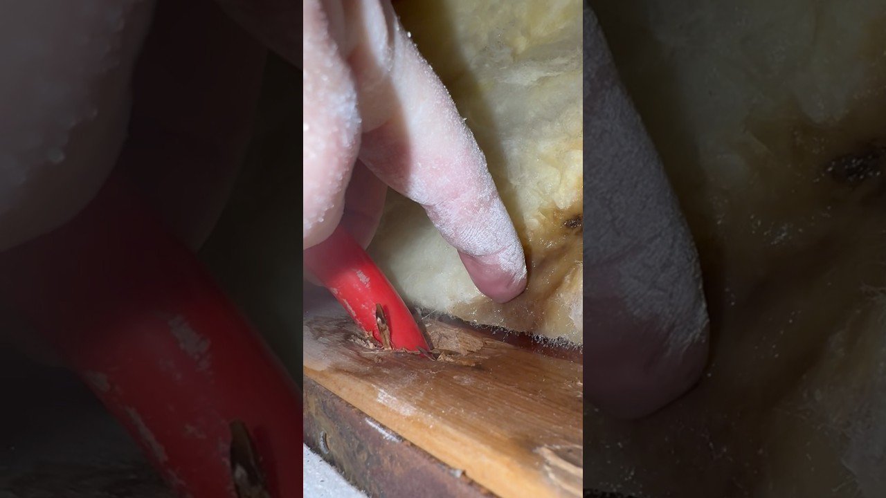 Locating & Repairing A Leaking PEX Waterline