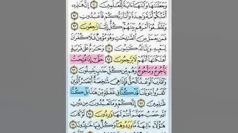 تيسير حفظ سورة الانبياء بالتكرار الوجة التاسع الايات ( 91-101) مكرر 3 مرات بصوت الشيخ عبد الباسط