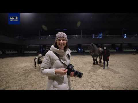 Настоящий рай для любителей лошадей