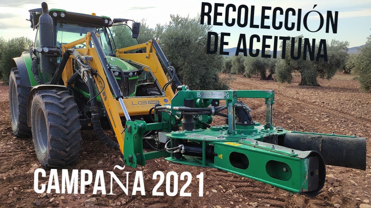 RECOLECCIÓN DE ACEITUNA MECANIZADA - CAMPAÑA 2021