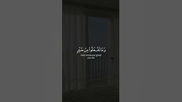 الحج أشهر معلومات || سورة البقرة #ناصر_القطامي