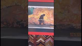 Vedat Ersucu - suluboya yaptığım resim çalışmam