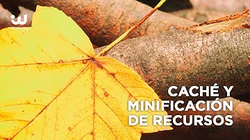 Caché y minificación en WordPress ¡sin complicación!