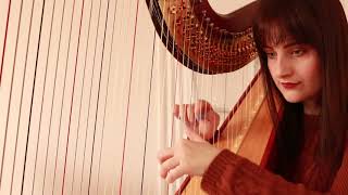 Passenger - Let Her Go (Harp Cover)