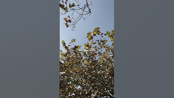 after work routine 🧸🛁🍂 #afterworkroutine #afterwork #nightroutine #minivlog #minivlogs #vlogging