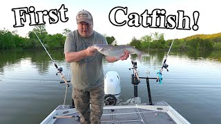 First Catfish On New Okuma Battle Cats!!! 