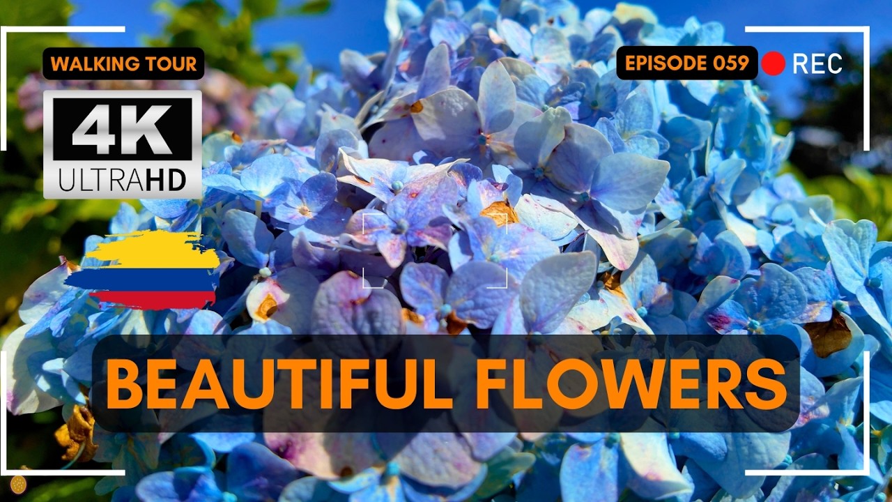 Parque Arvi, Artisanal Market, Flower Gardens 🇨🇴 Medellin Things to Do ...