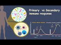 Primary and secondary Immune response