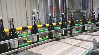 Wine Case Packaging Line Fully Automatic Large Boxes Packer Solution