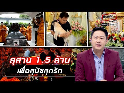 สุสาน 1.5 ล้าน เพื่อสุนัขสุดรัก | ข่าวจริงยิ่งกว่าละคร | ข่าวช่องวัน | one31