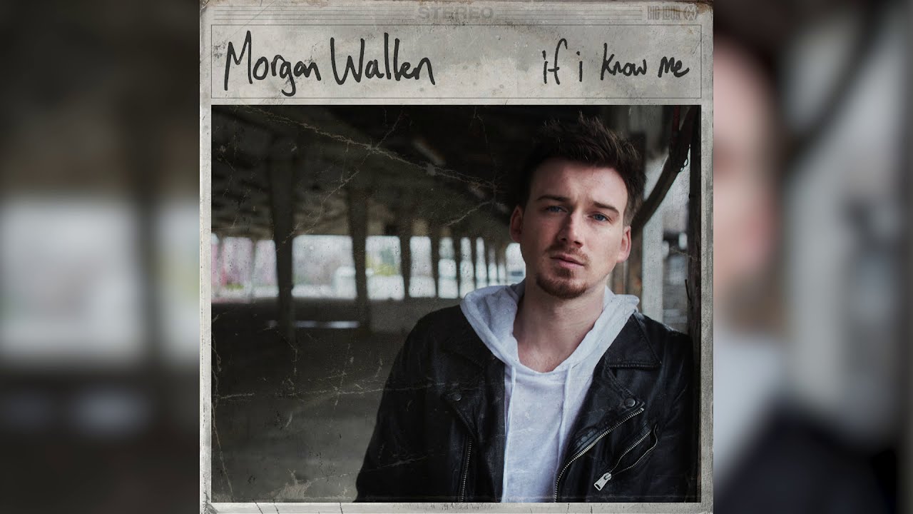 Morgan Wallen - The Way I Talk (Audio Only)