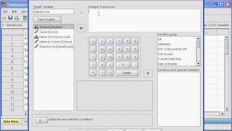 Finding Standard zScore in SPSS