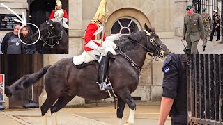 HorseBiting Tourist and Unsettling Horse at the Changing of the Guard at Horse Guards in London