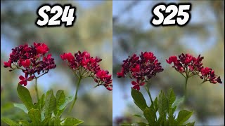 S24 Vs S25 Unbelievable Detailed Camera Comparison