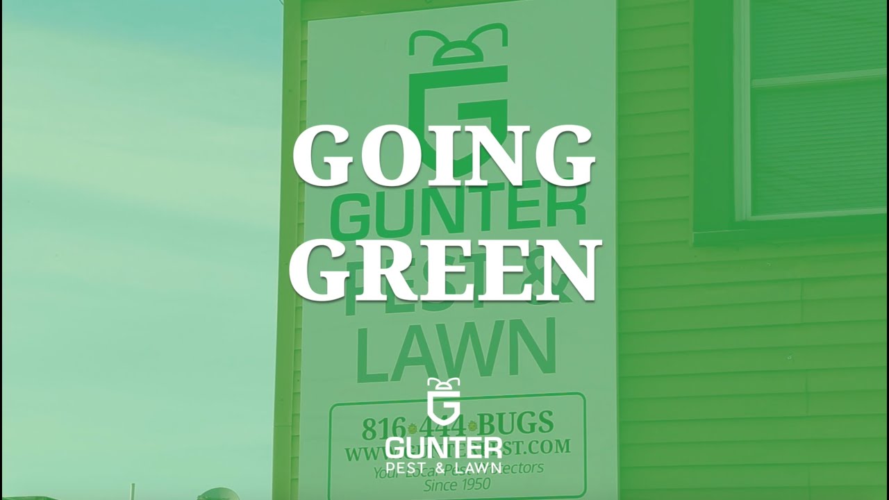 Environmentally Friendly Pest Control - GO GUNTER, GO GREEN!