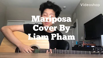 Mariposa - Peach Tree Rascals Cover By Liam Pham