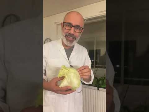 فوائد الخس العجيبة للقلب اهم الفواىد المفيدة لصحة قلبك مع دكتور وليد سرحان طبيب قلبية جرب الخس