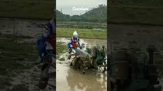 Senin Tawa