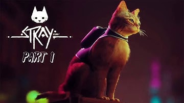 STRAY PC Walkthrough Gameplay Part 1 - INTRO (FULL GAME)
