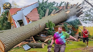 Idiots With Chainsaws: Tree Cutting Fails | Extreme Dangerous Logging Truck Fails #6