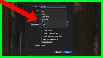 How to Convert Image to PDF on Mac (How to Make Picture or Screenshot into a PDF File on Macbook)