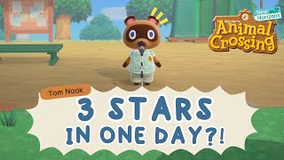 Can I Get 3 Stars In ONE DAY?! | Animal Crossing New Horizons