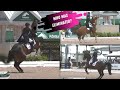 Dressage Disaster: The Final Meltdown!