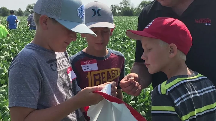 NCTA Agronomy Youth Field Day upcoming July 6, 2022